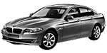 BMW F10 B162F Fault Code